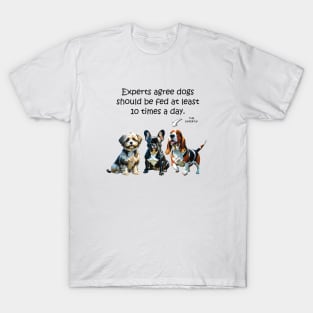 Experts agree dogs should be fed at least 10 times a day - funny watercolour doggie designs T-Shirt